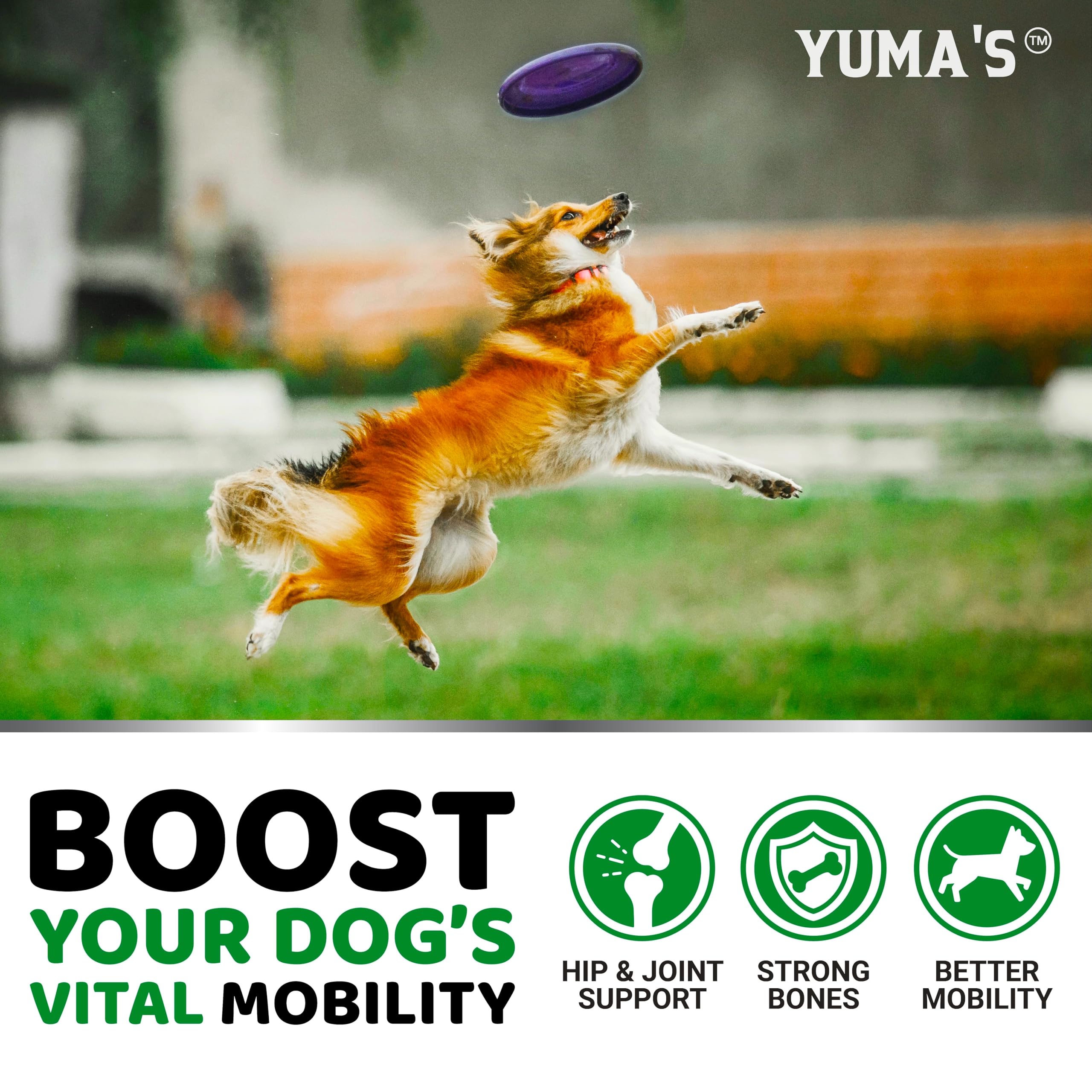 Utilisation quotidienne des bouchées YUMA'S pour un mouvement plus fluide.