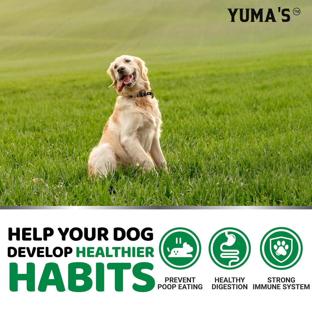 YUMA'S No Poo Chews — enzymes digestives pour favoriser une digestion harmonieuse.