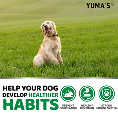 YUMA'S No Poo Chews — enzymes digestives pour favoriser une digestion harmonieuse.
