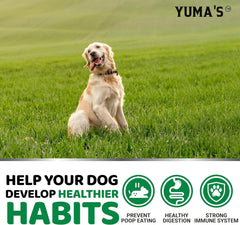 Probiotiques et enzymes digestives dans YUMA'S No Poo Chews.