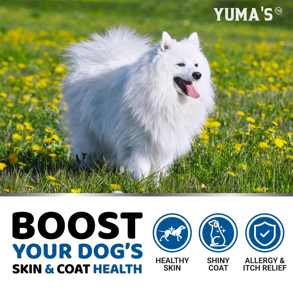 YUMA'S oméga3-chien chute-poil reduite: soutien quotidien.