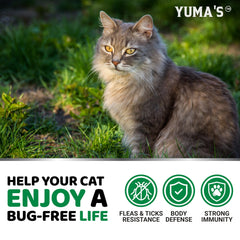 YUMA'S Pour tous les âges – convient à toutes les races de chats.