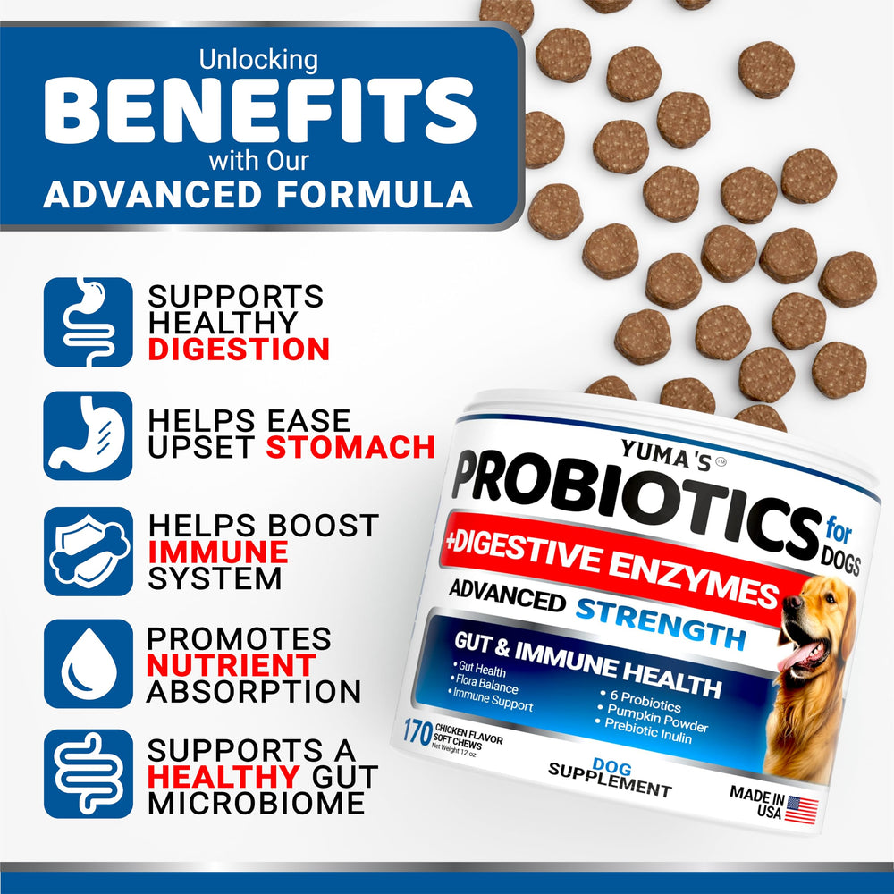 YUMA'S Probiotiques pour chiens — bouchées faciles à donner et contribuent à une digestion équilibrée.
