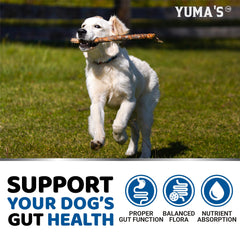 YUMA'S Probiotiques pour chiens — étiquette vétérinaire et fabrication USA, qualité rassurante.