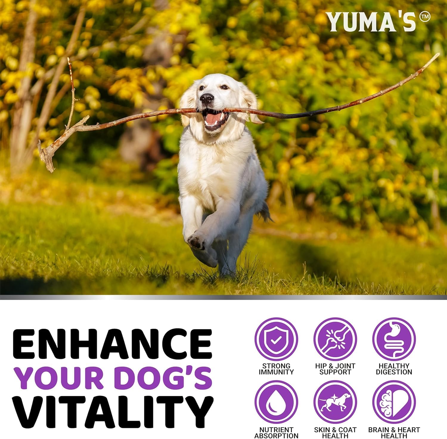 Vitamine chien tous âges, convient chiots et seniors
