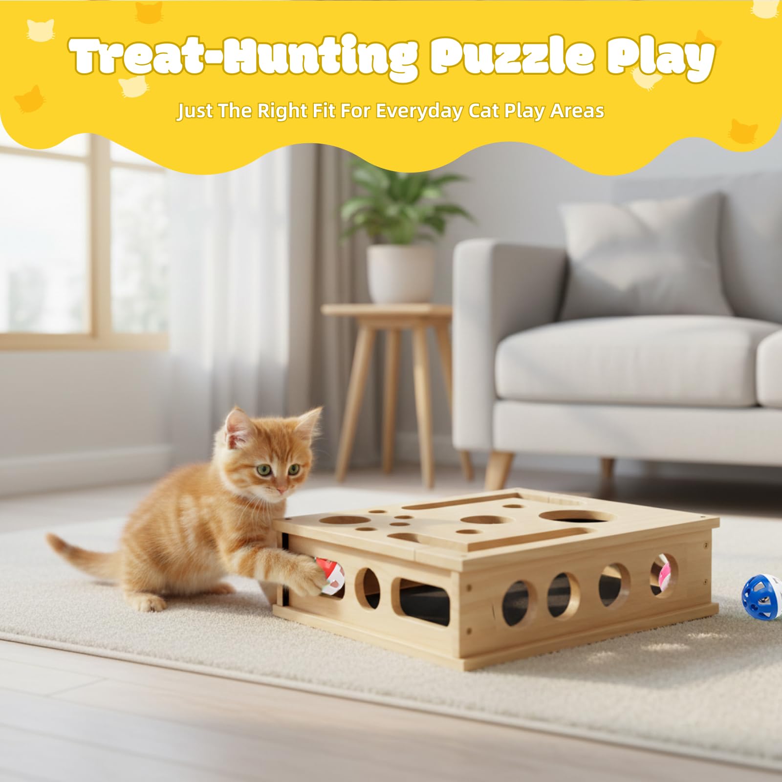 Chat explorant l espace de jeu Yumcute intégré dans la boîte.