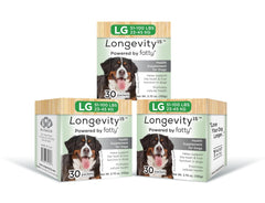 La bouteille Longevity15 de Yummy Combs prête pour soutenir la vitalité canine au quotidien.