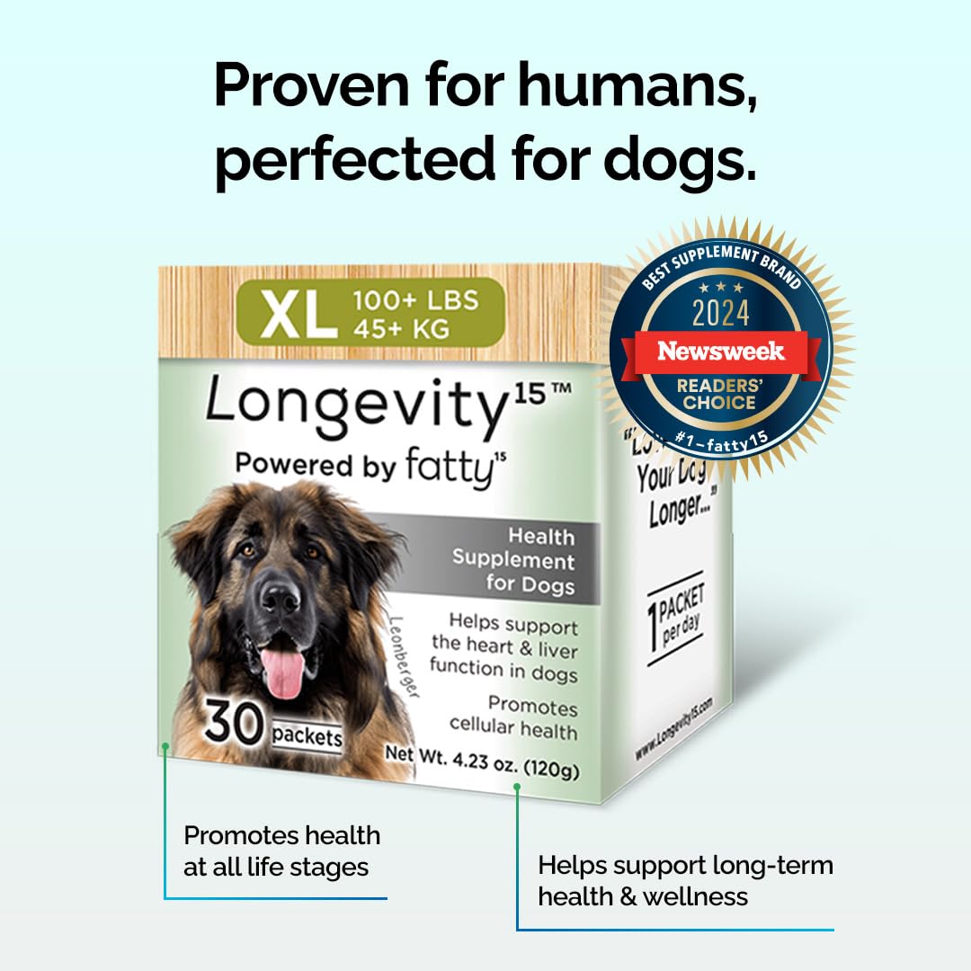 Chien de petite taille recevant Longevity15 dans sa routine quotidienne.