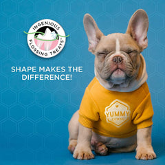 Friandise mastic dentaire Yummy Combs pour petit chien, sécurité qui empêche l’ingestion rapide.