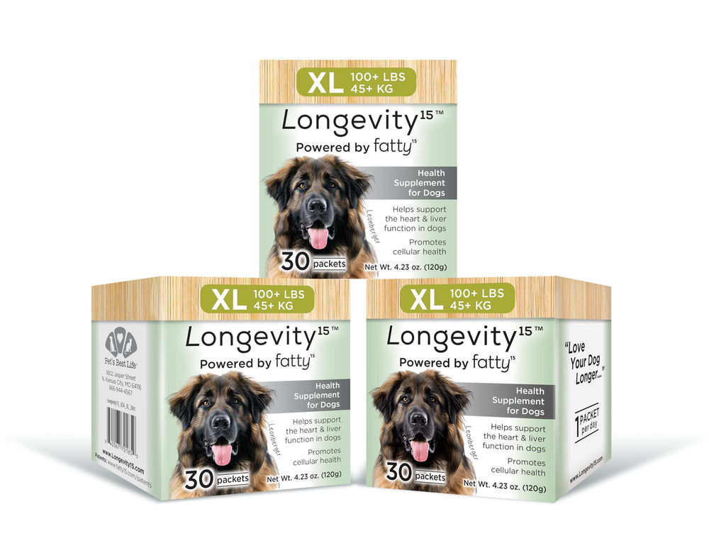 Longevity15 de Yummy Combs, bouteille avec étiquette lisible, soutien potentiel à la vitalité canine.