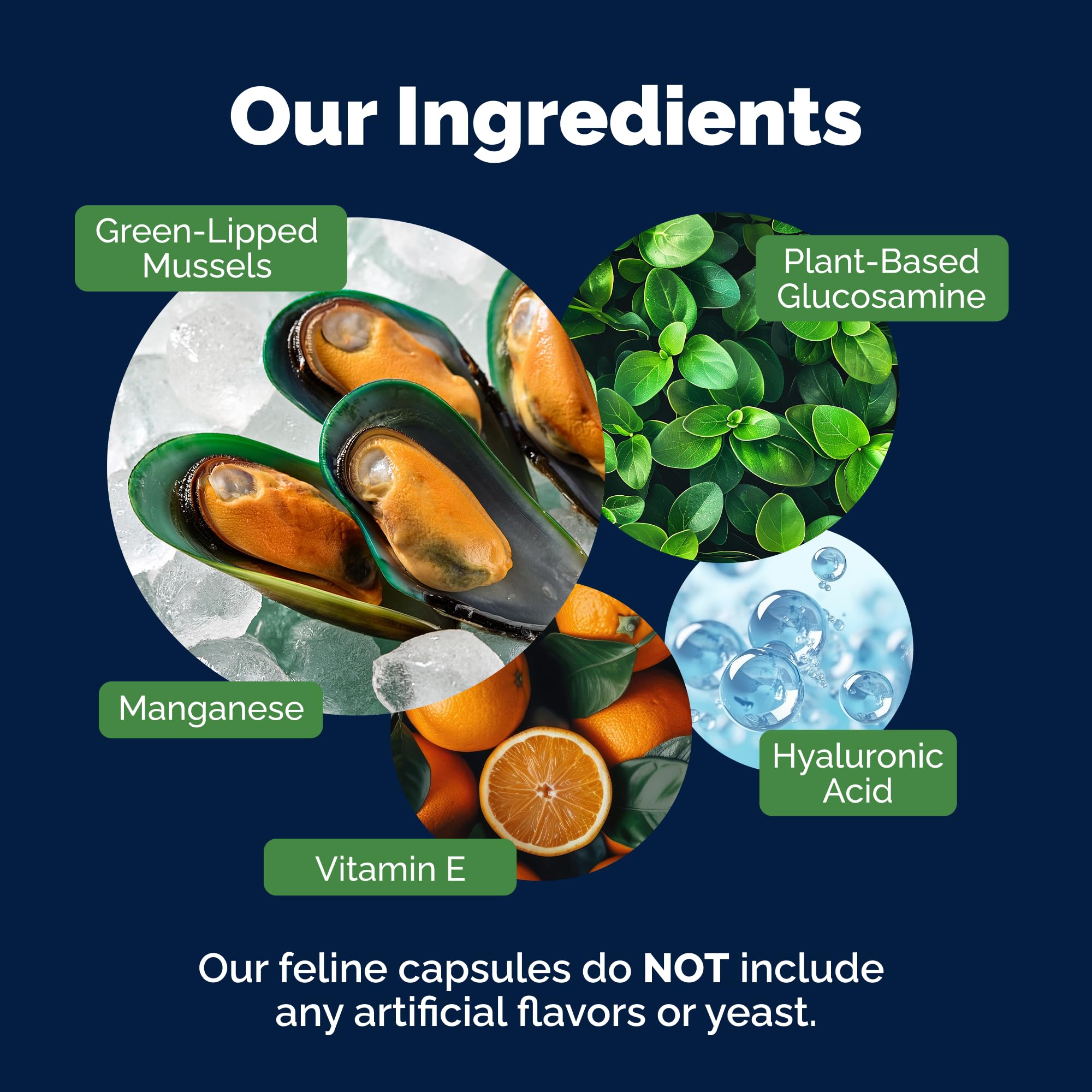 YuMOVE msm articulations chat : peut aider a la flexibilite et au mouvement