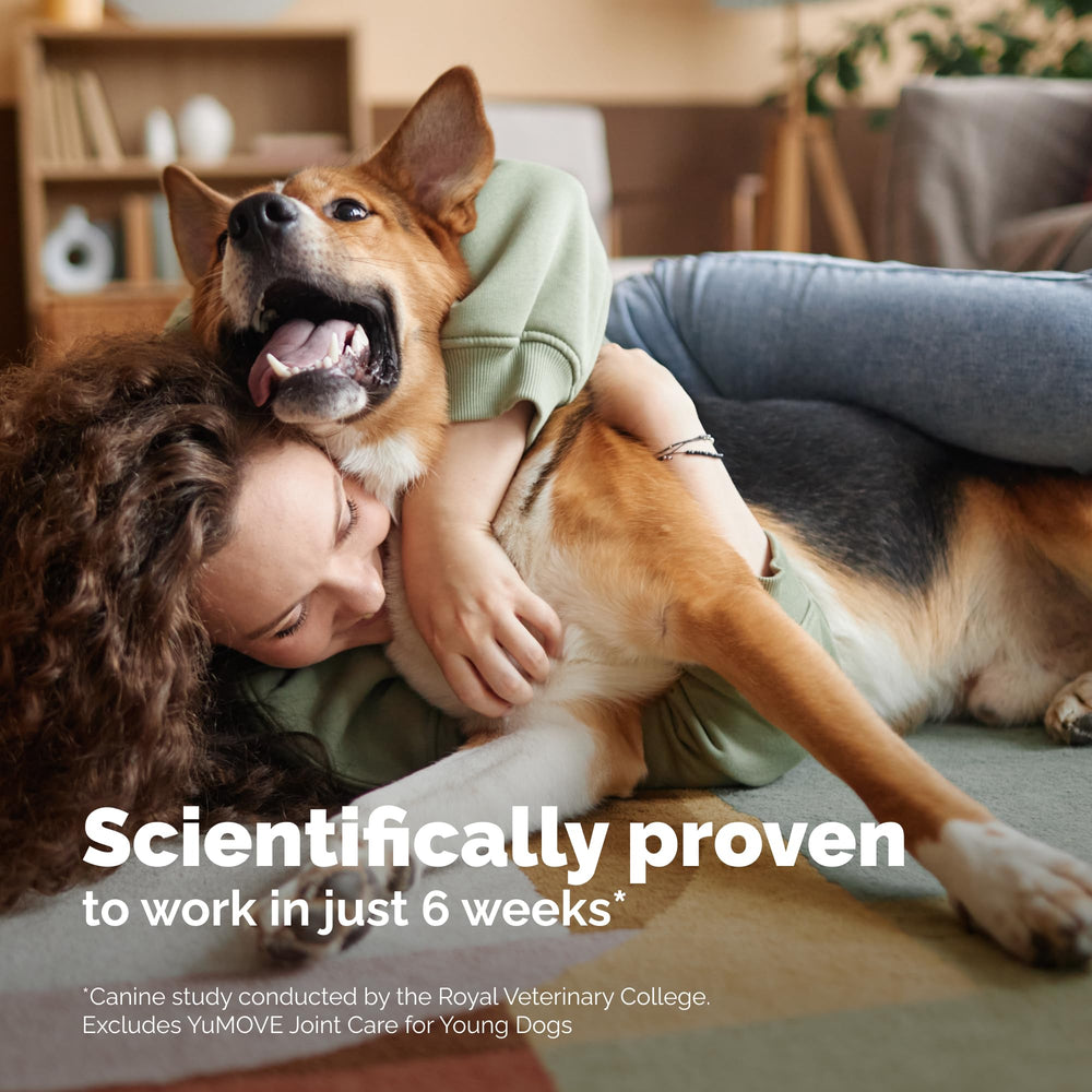 Oméga 3 YuMOVE – soutien potentiel de la mobilité canine.