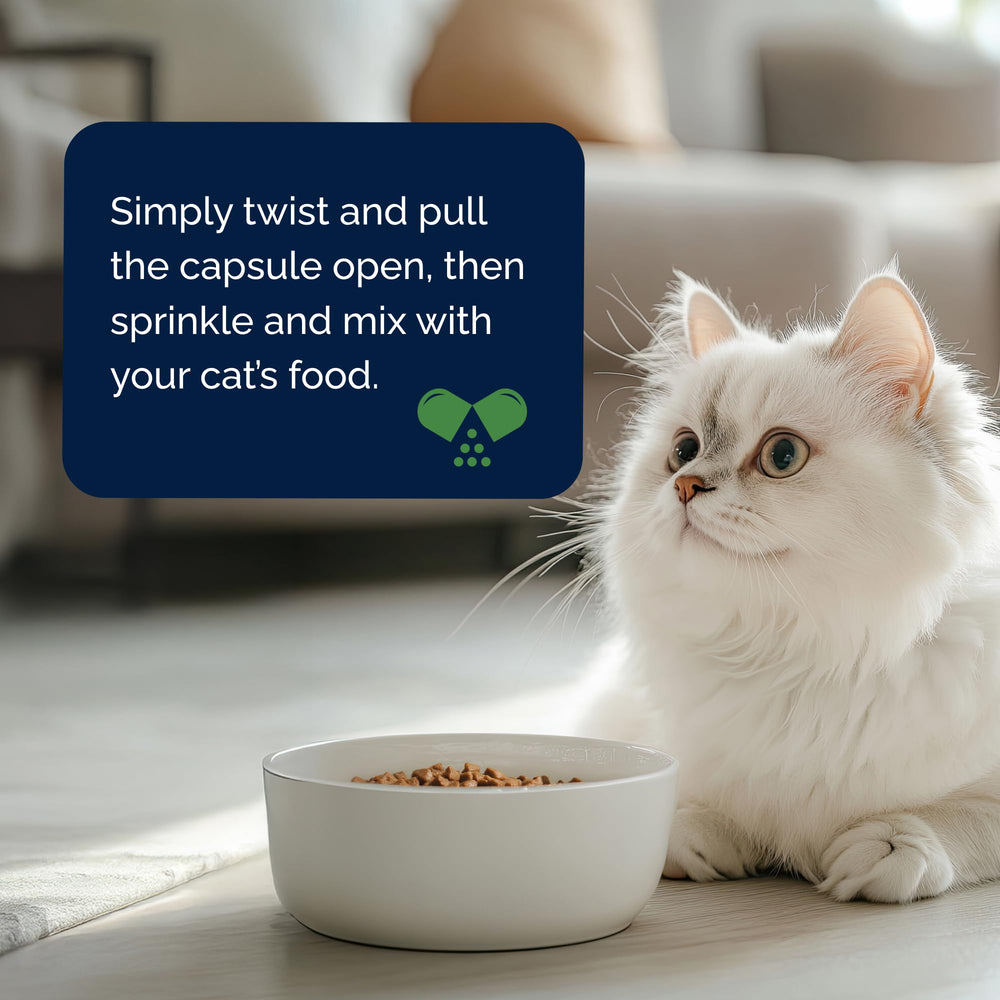 YuMOVE prise facile chat capsules : administration simple pour le soin articulaire