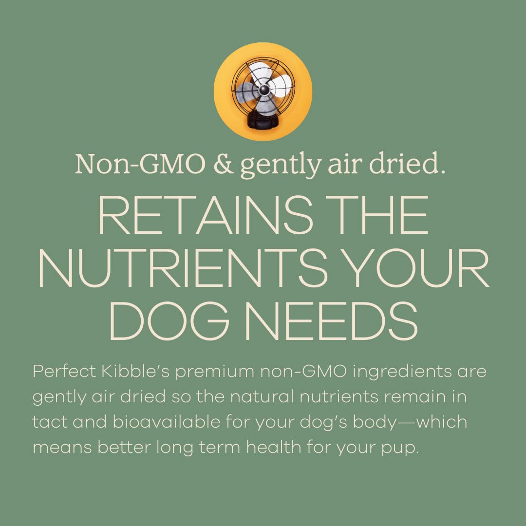 Séchage à l’air préservant les nutriments dans Yumwoof Perfect Kibble.