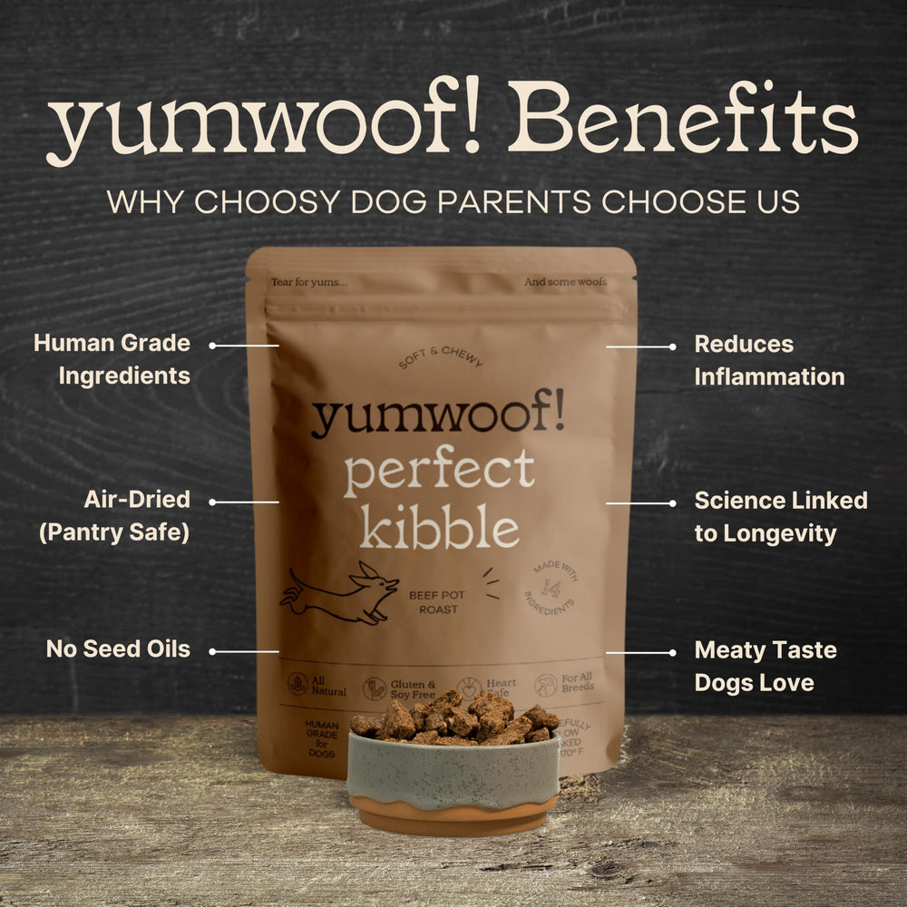 Ingrédients sans OGM et viande américaine dans Yumwoof Perfect Kibble.