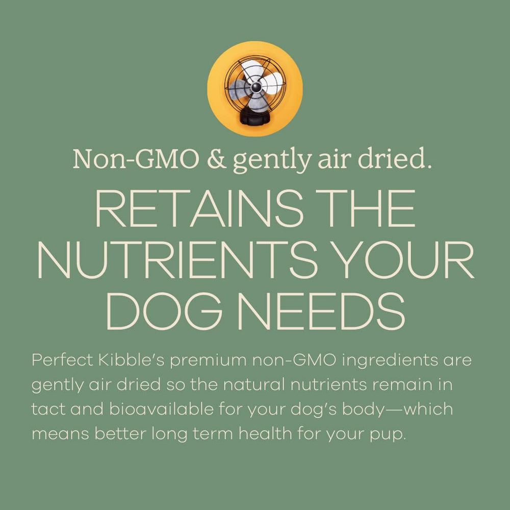 Étiquette USDA et sans OGM sur Yumwoof Perfect Kibble pour la traçabilité.