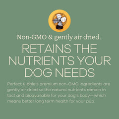 Étiquette USDA et sans OGM sur Yumwoof Perfect Kibble pour la traçabilité.