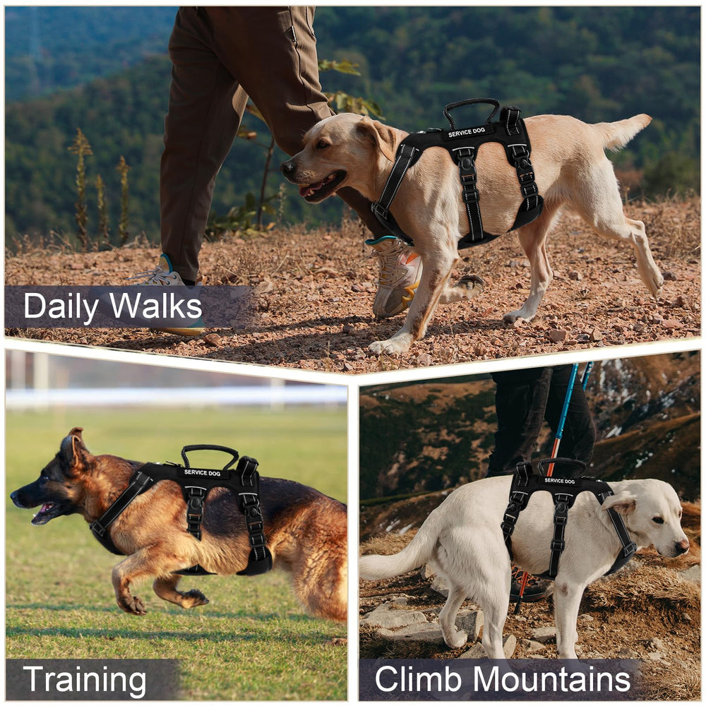 Ceinture auto Yungaspy pour chien, sécurité lors des trajets.