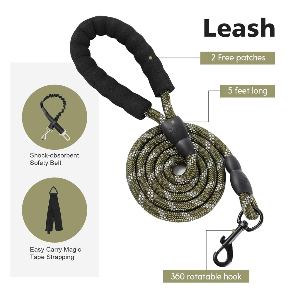 Ensemble laisse et ceinture auto Yungaspy idéal pour les déplacements.