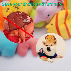 Jouets peluche lavables YUNKINGDOM, sifflets et textures douces pour chiot.