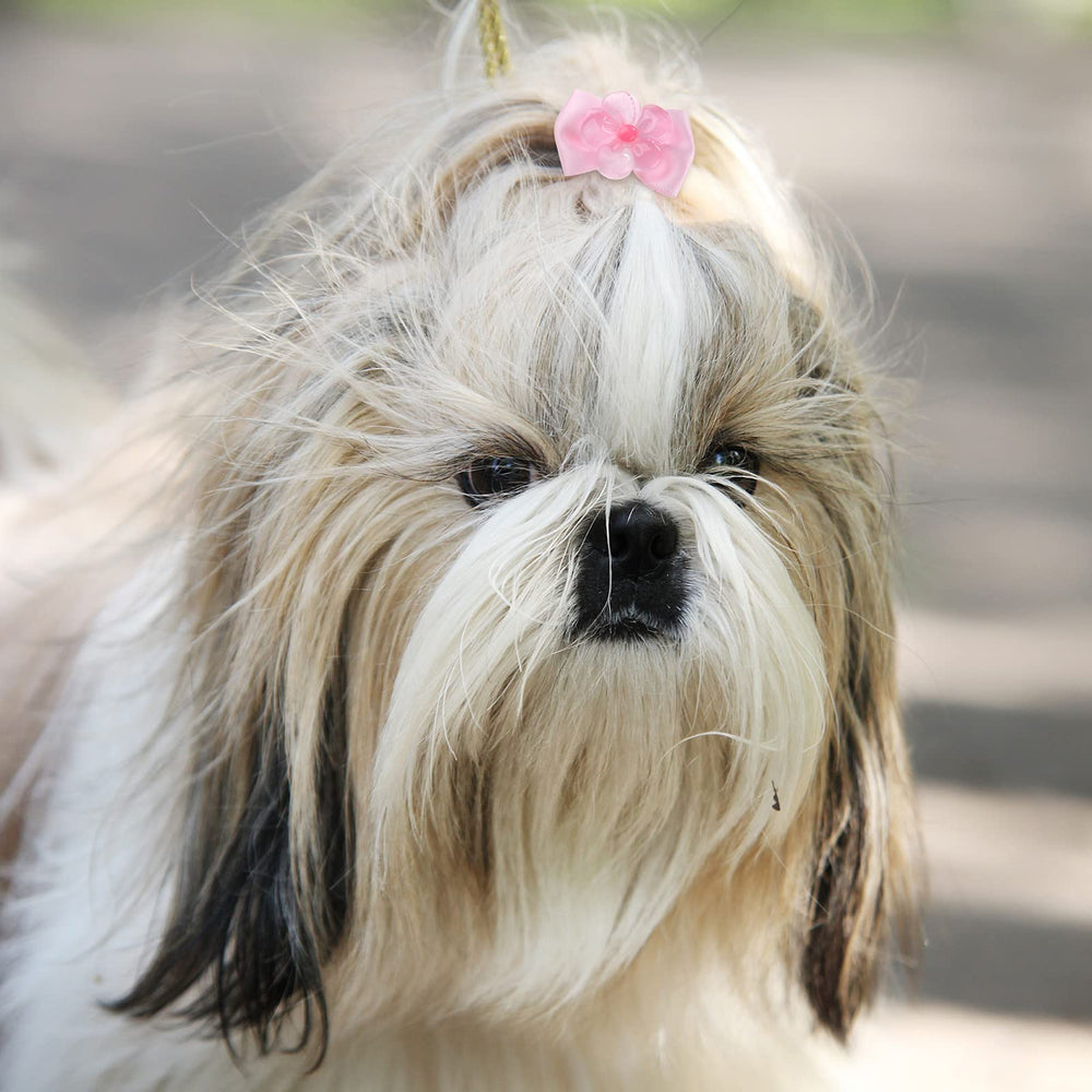 Élastique poil chien Yunsailing, maintien sûr et confortable.
