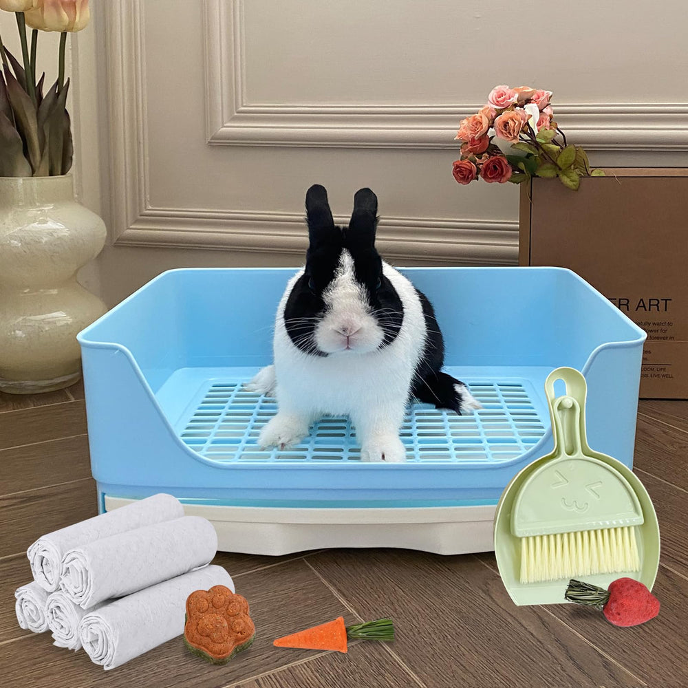 Yuoaes pack accessoires litière petits animaux — entretien simplifié