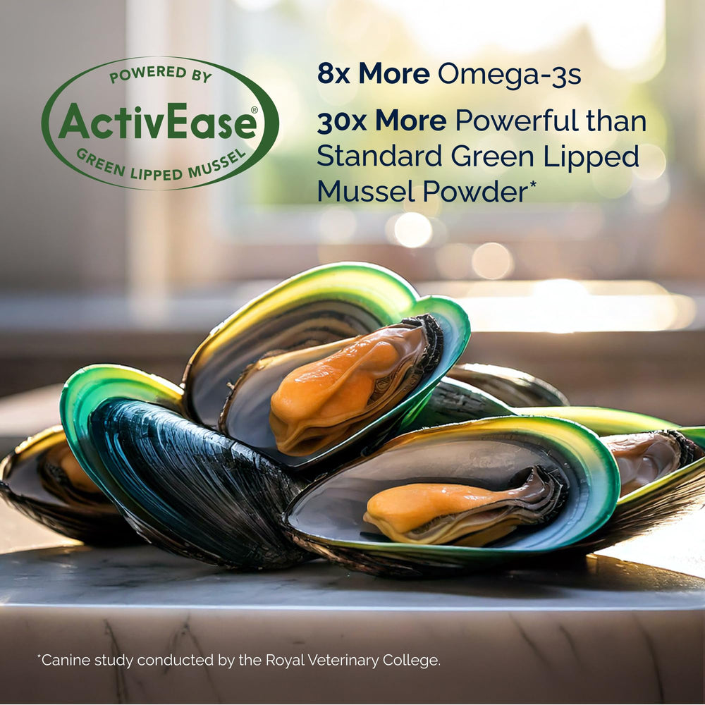 YuMOVE moule verte ActivEase, ingrédient durable pour mobilité canine.