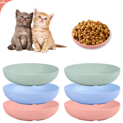 Bol Yuzi, ensemble coloris vifs, idéal pour nourrir plusieurs chats.