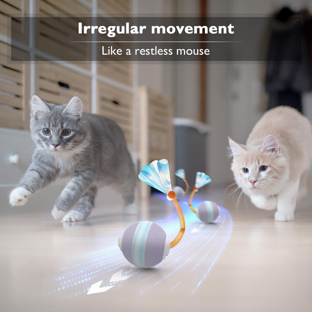 Queue élastique YVE LIFE, mouvement réaliste pour stimuler l instinct de chasse.