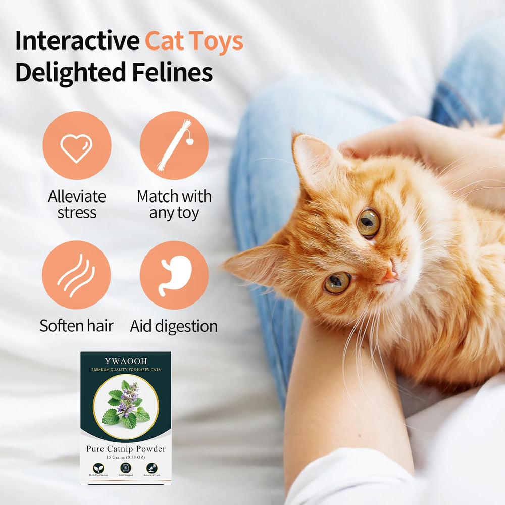 YWAOOH Catnip – aromathérapie simple pour chats, moments calmes et joueurs.