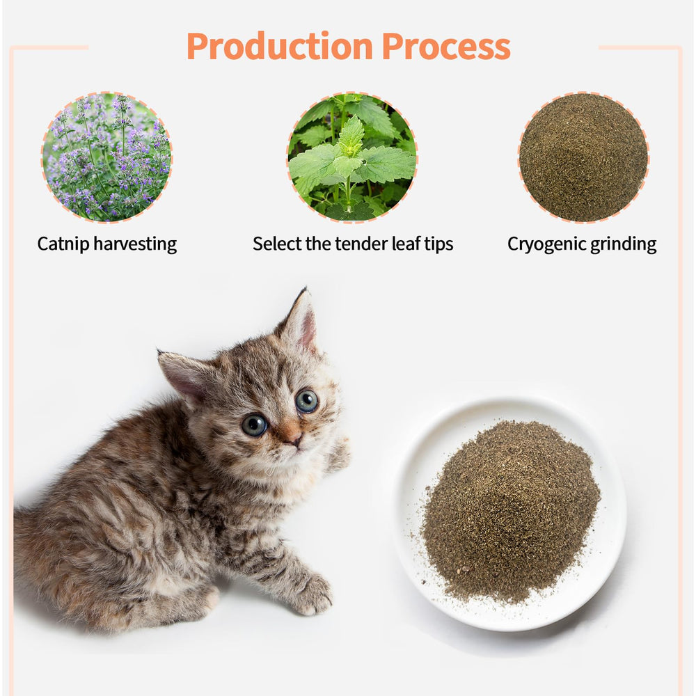 YWAOOH Catnip – feuilles sans tiges pour pureté et couleur riches.