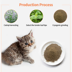 YWAOOH Catnip – feuilles sans tiges pour pureté et couleur riches.