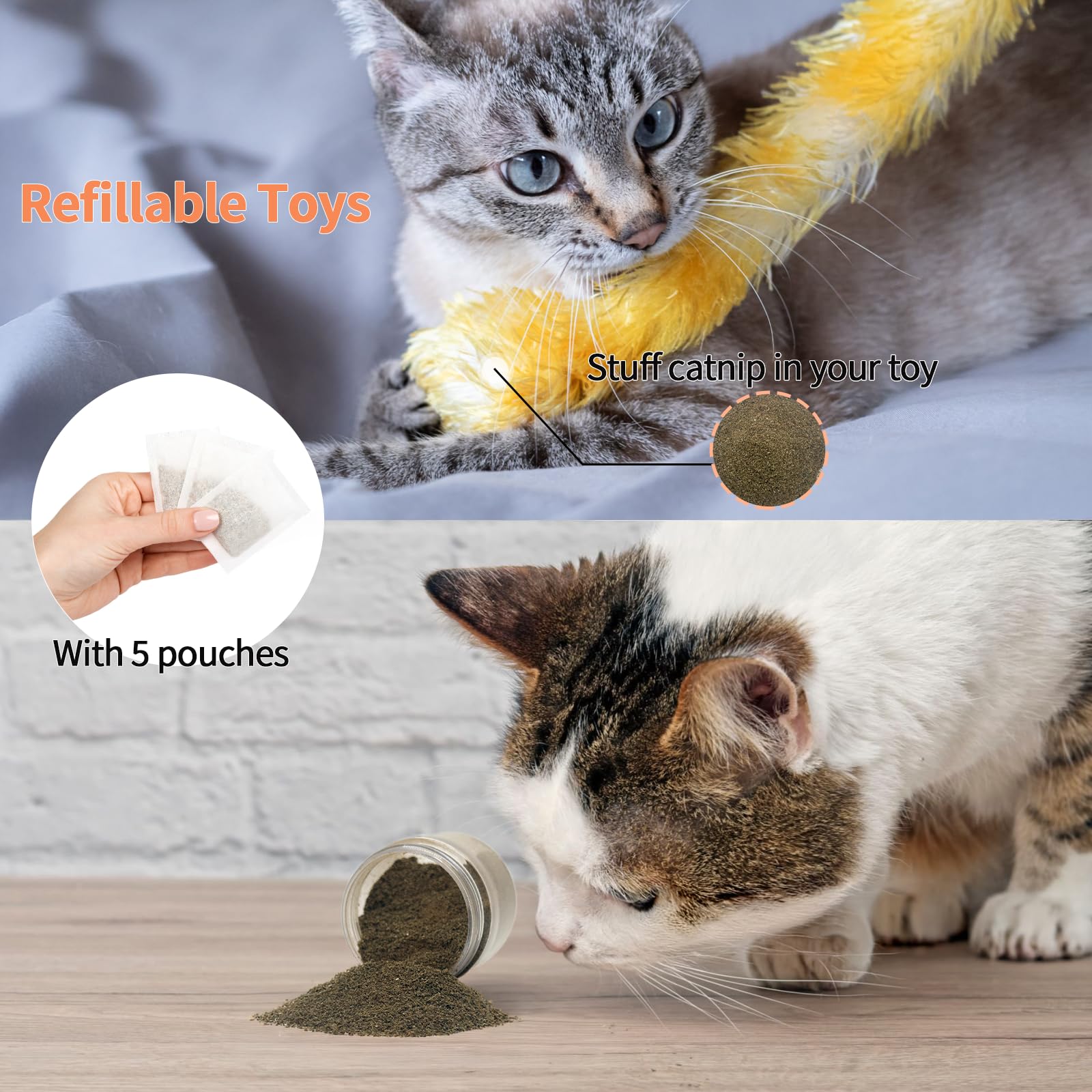 YWAOOH Catnip – griffage et jeux plus dynamiques pour votre chat.