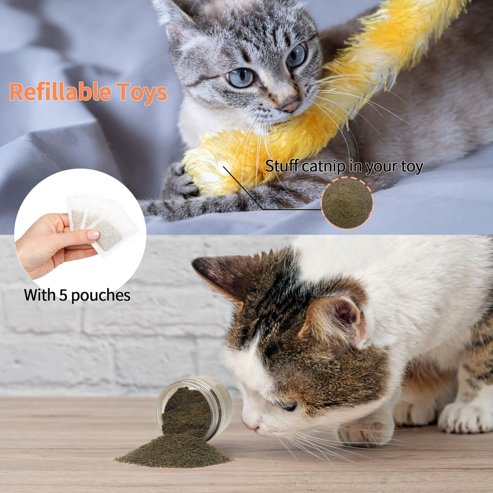 YWAOOH Catnip – griffage et jeux plus dynamiques pour votre chat.