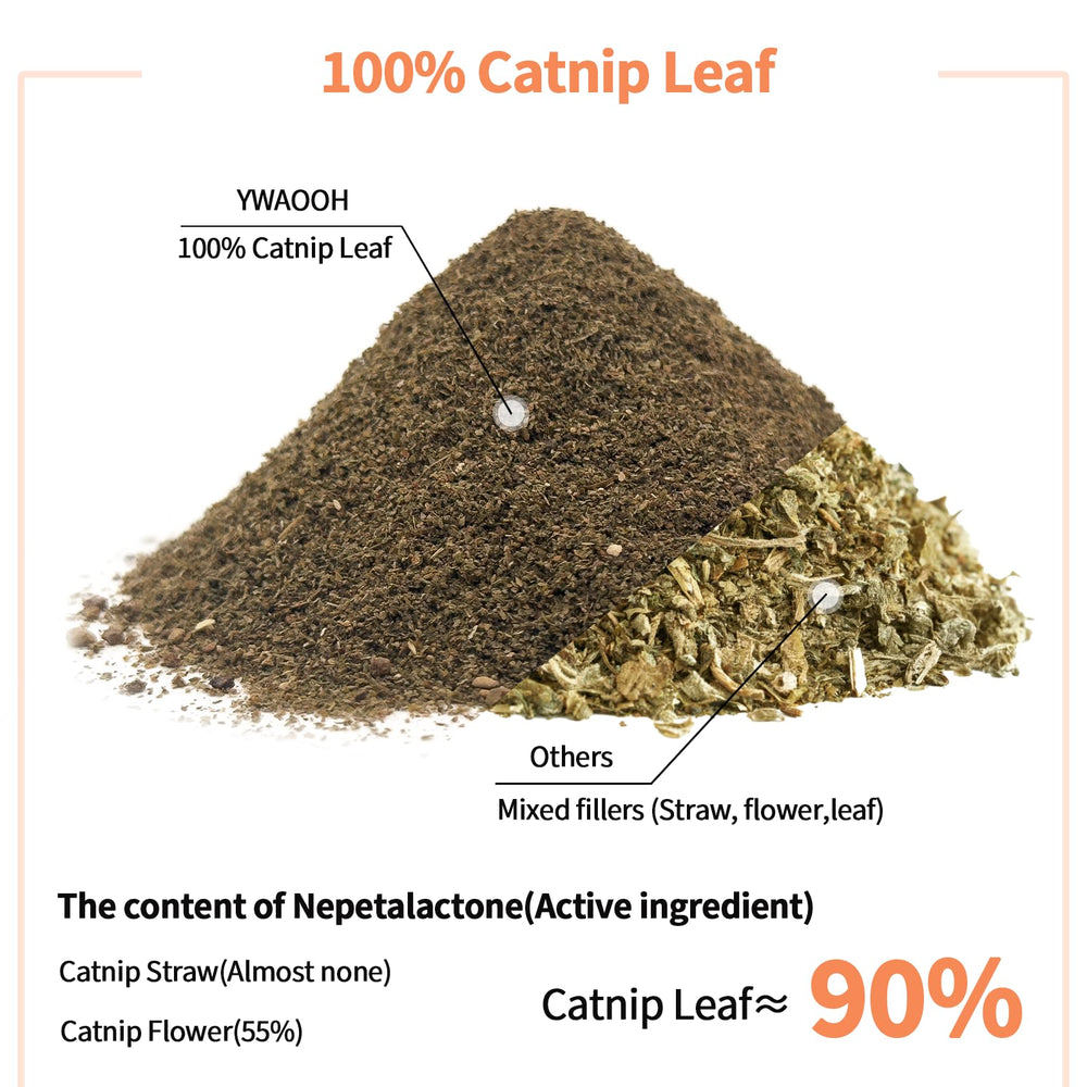 YWAOOH Catnip – processus basse température préserve népetalactone active.