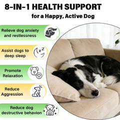 YWUJID saveur saumon, friandises melatonine pour chien et sommeil naturel.