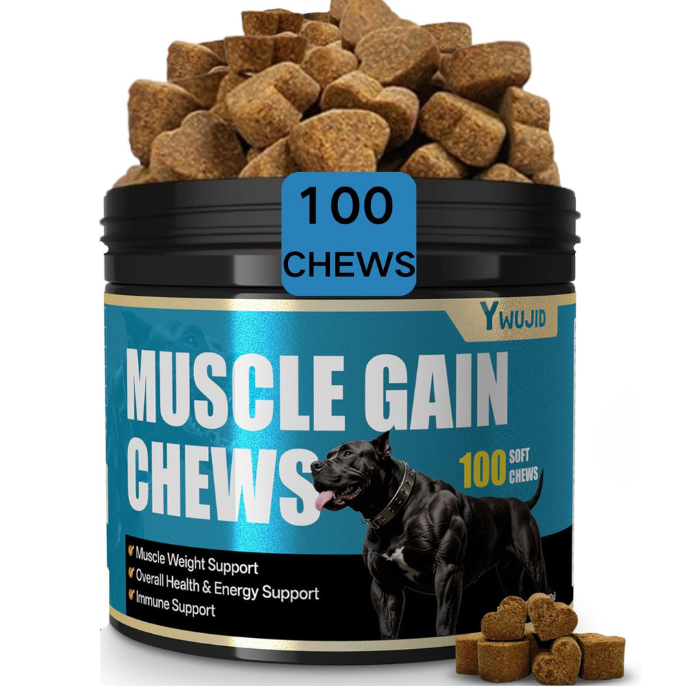 YWUJID Muscle Gain Chews, boîte pratique, soutient les muscles des chiens actifs.
