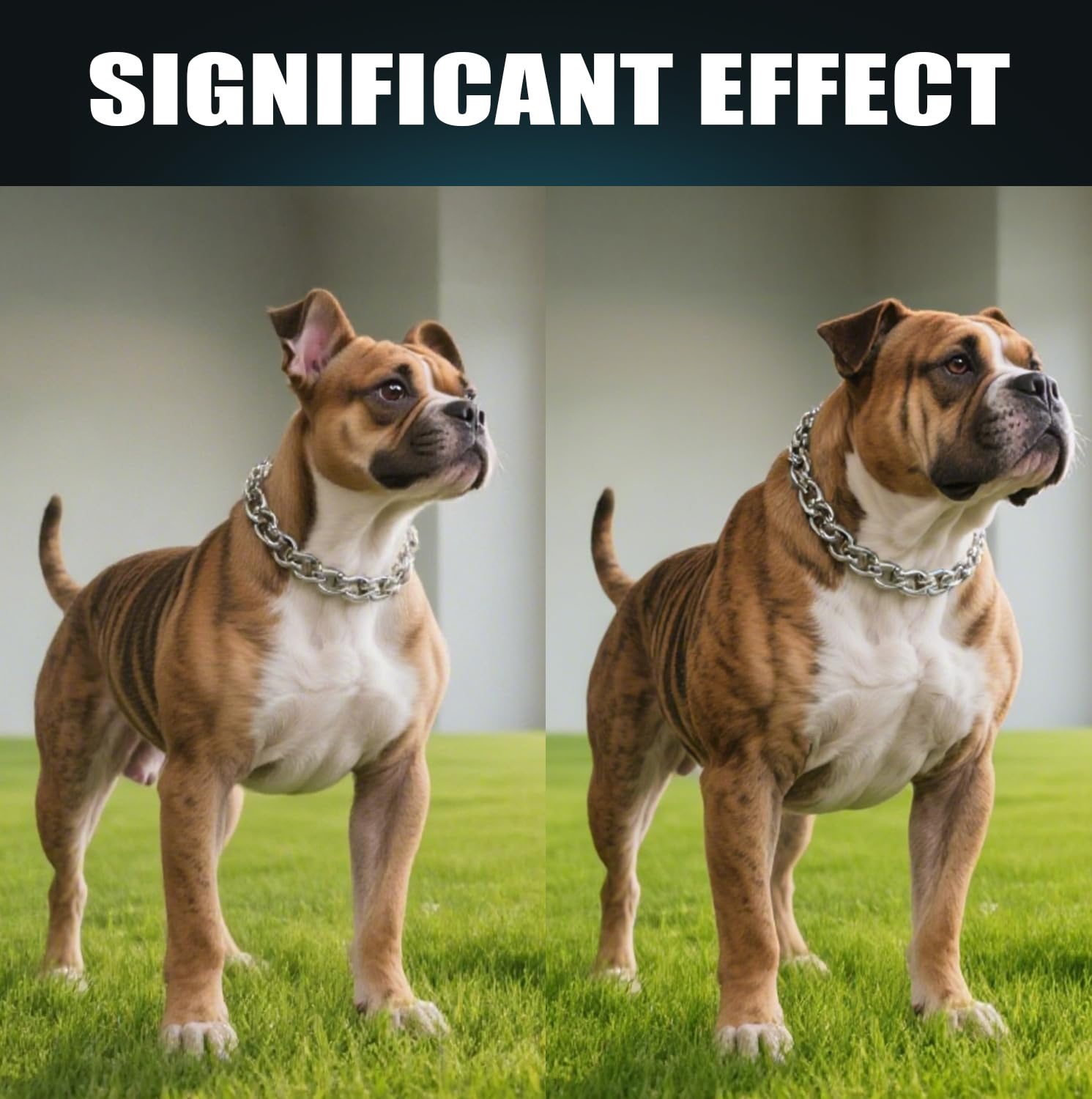 Goût saumon naturel des bouchées pour chiens, attrayant et appétissant.