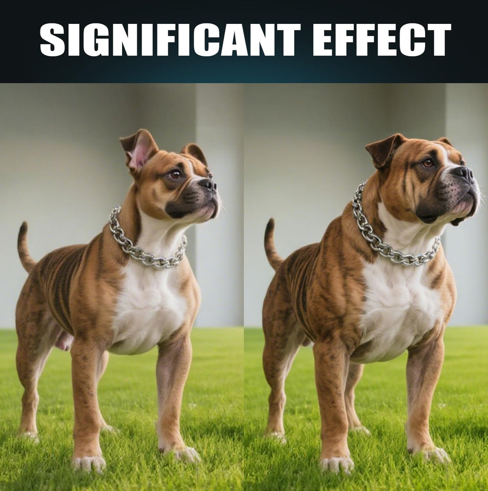 Goût saumon naturel des bouchées pour chiens, attrayant et appétissant.
