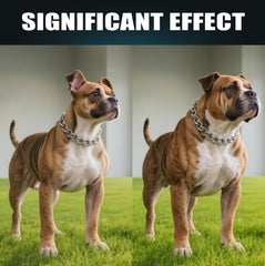 Goût saumon naturel des bouchées pour chiens, attrayant et appétissant.