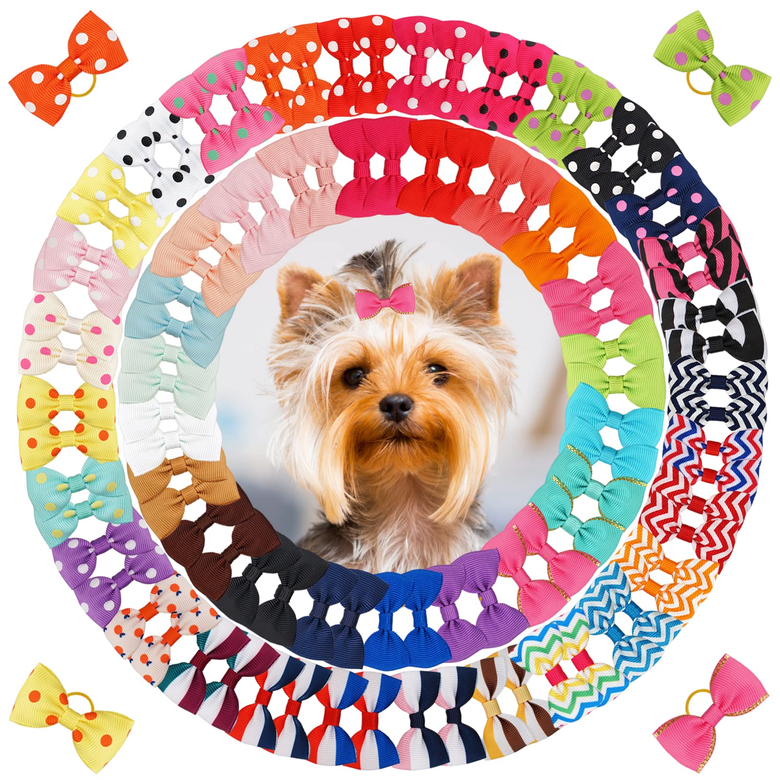 Cadeau idéal Yxiang pour chiots Shih Tzu et autres chiens.