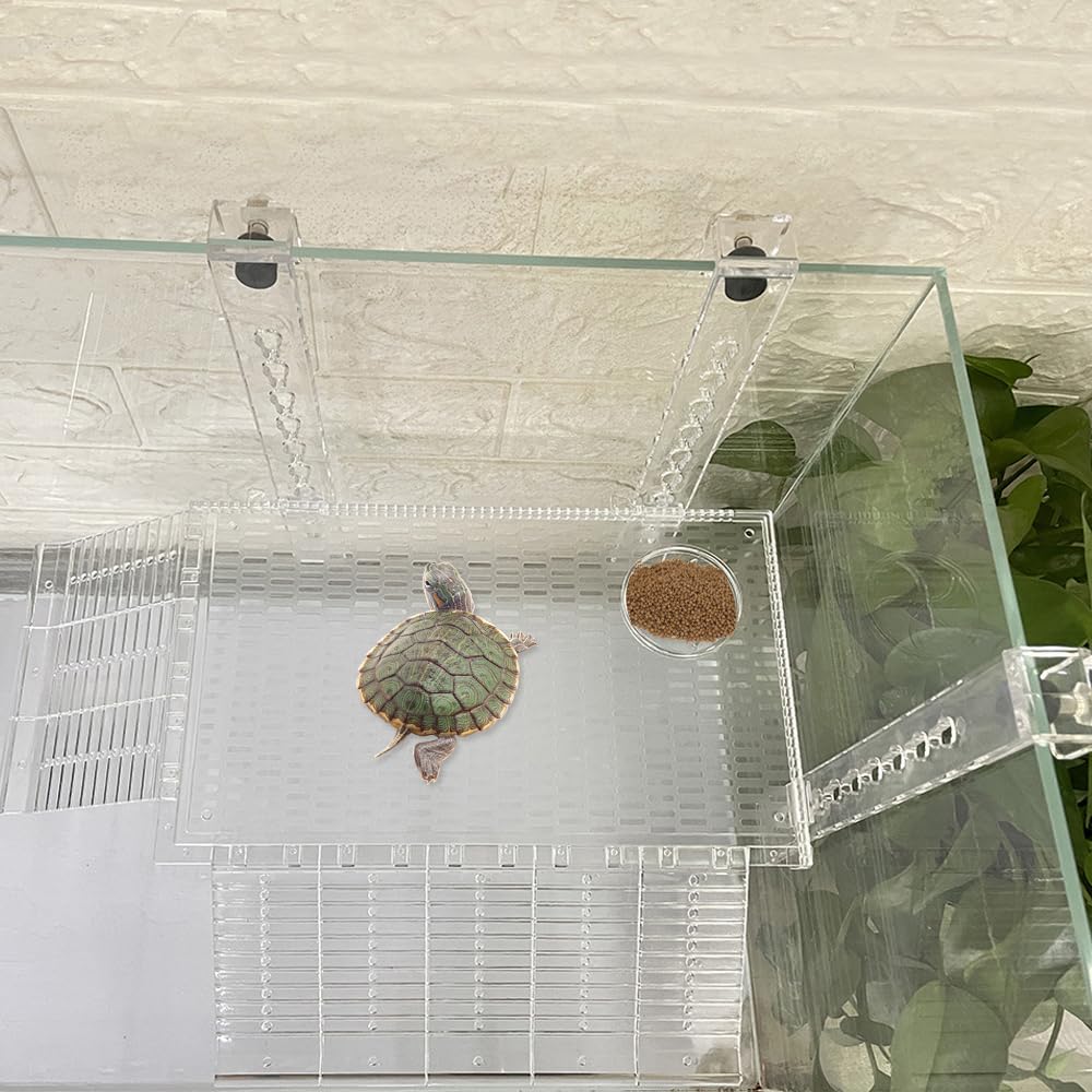 YXQ accessoire tortue installation sans outils et orientation réglable.