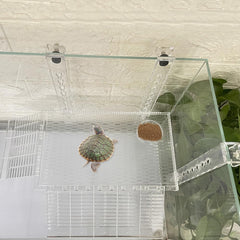 YXQ accessoire tortue installation sans outils et orientation réglable.