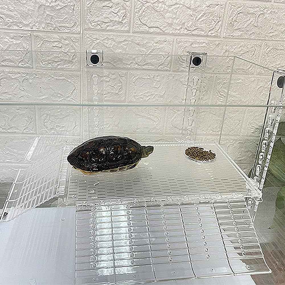 YXQ plateforme reptile multifonction adaptée à tortues, lézards et grenouilles.
