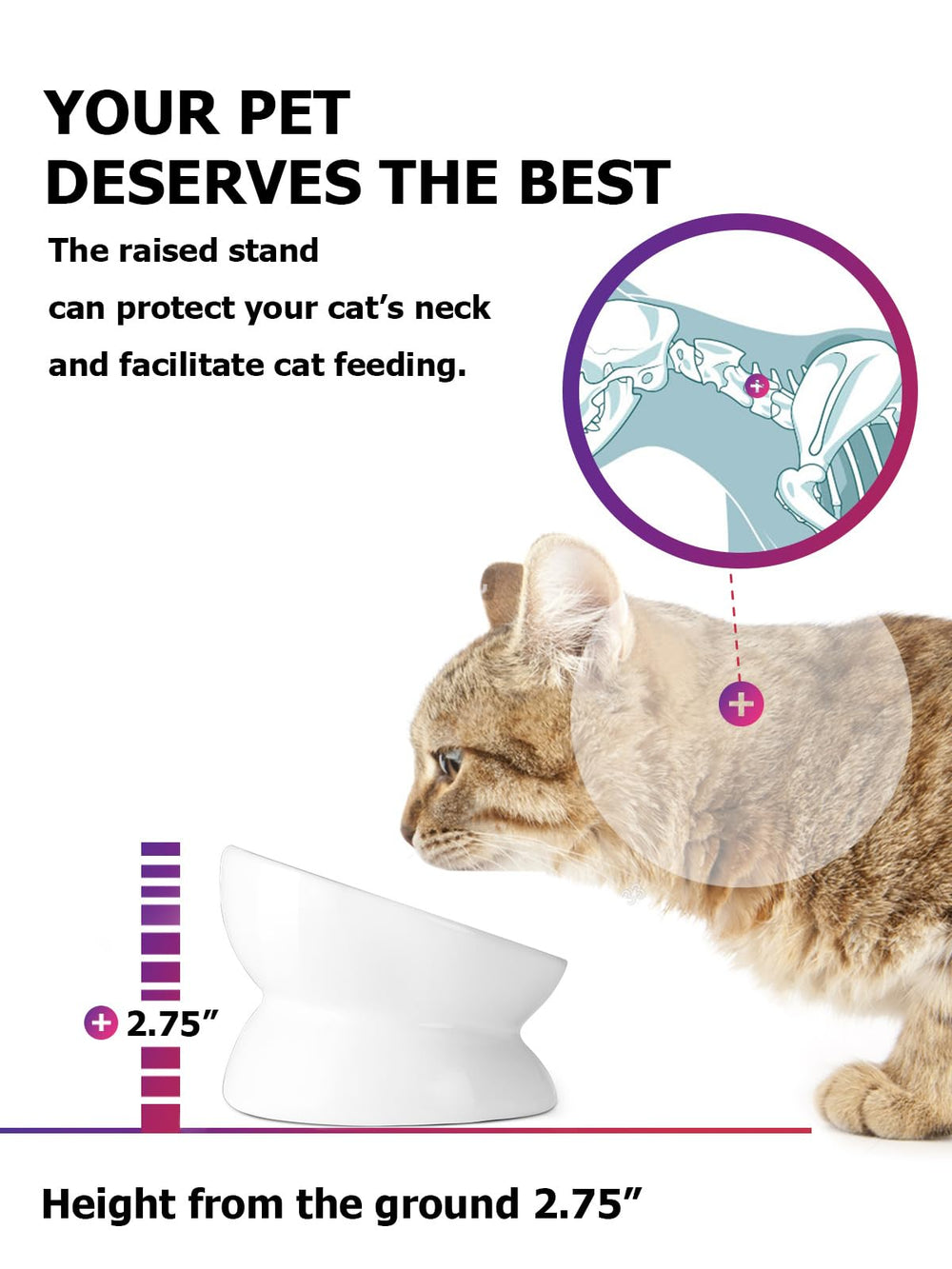YYHY base anti-debordement chat, bol stable pendant le repas.