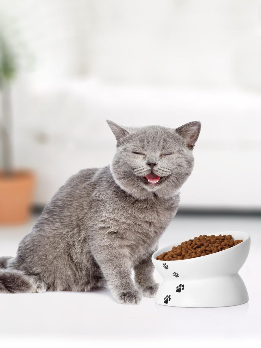YYHY bol ceramique chat, matériau sûr et hygiénique.