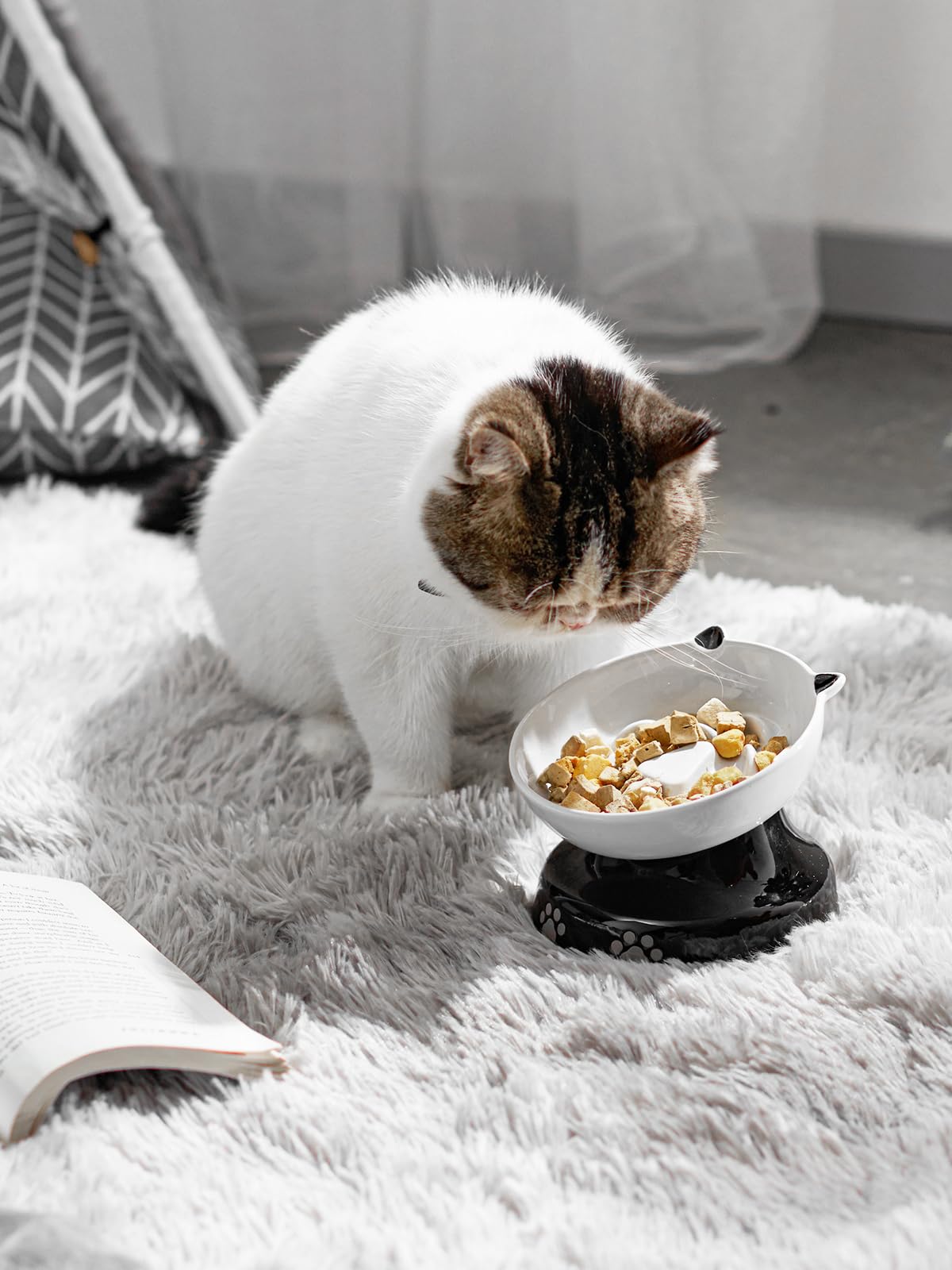 YYHY bol céramique durable pour animaux, assurant longévité et hygiène.