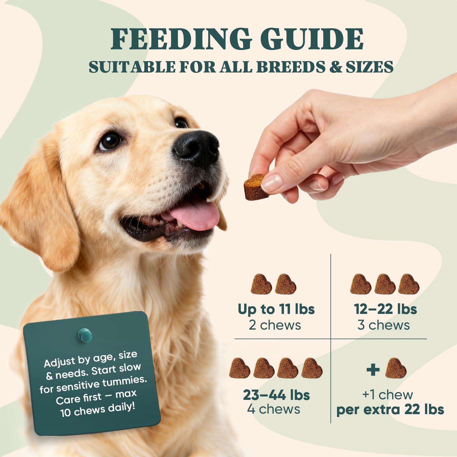 YYTKMY Bocal Gommes Allergie Chien : approvisionnement pratique pour tout le mois.