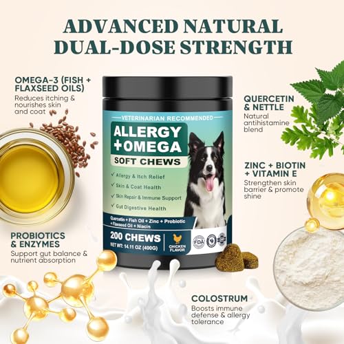 YYTKMY Equilibre Digestif Chien Probiotiques : aide digestive et confort.