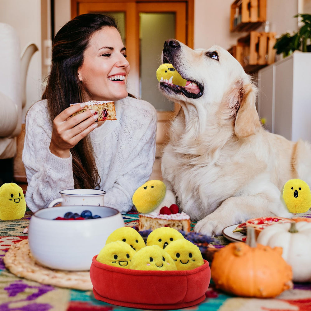 YZHDUXIU coffret jouets poulet, cadeau parfait pour chien